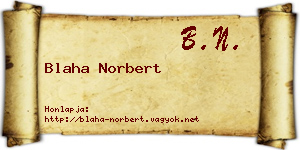 Blaha Norbert névjegykártya