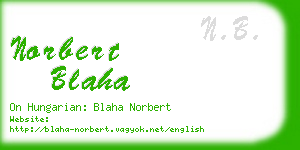 norbert blaha business card